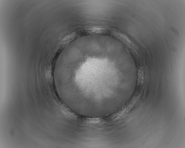 X0000112180377200908281407