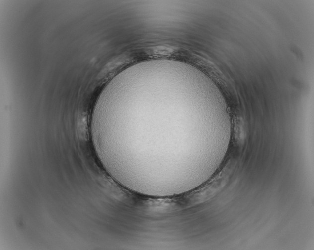 X0000112180378200908281407