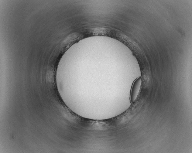 X0000112180379200908281407