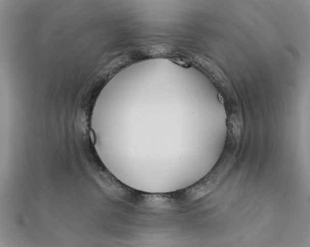 X0000112180380200908281407