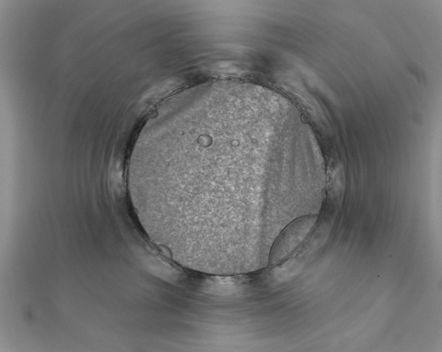 X0000112180381200908281407