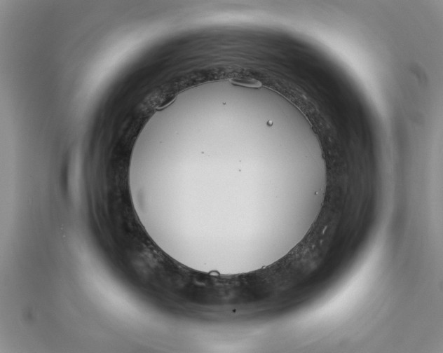 X0000112180382200908281407