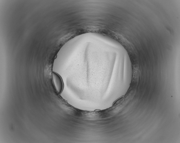 X0000112180383200908281407