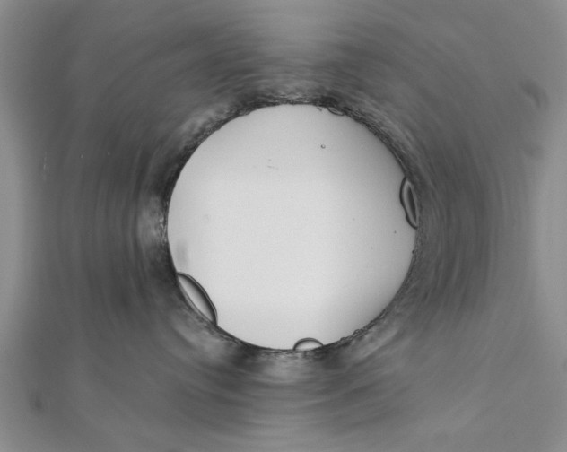 X0000112180384200908281407