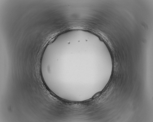 X0000112180385200908281406