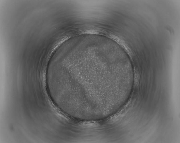 X0000112180386200908281406