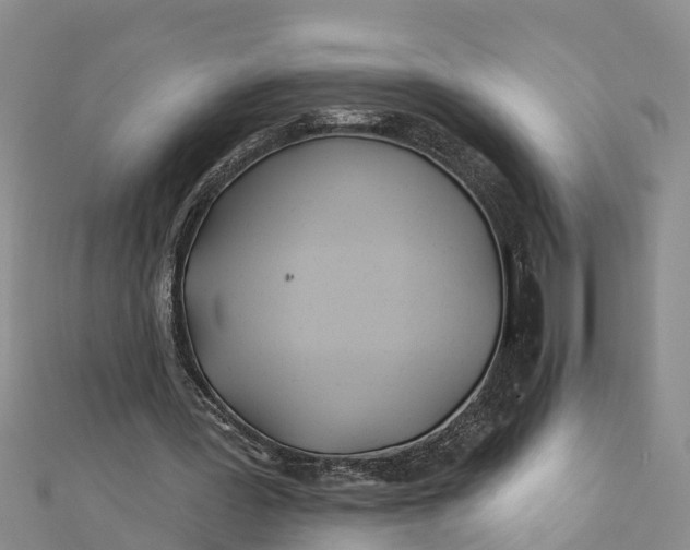 X0000112180387200908281406