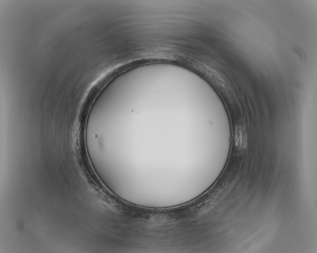 X0000112180388200908281406