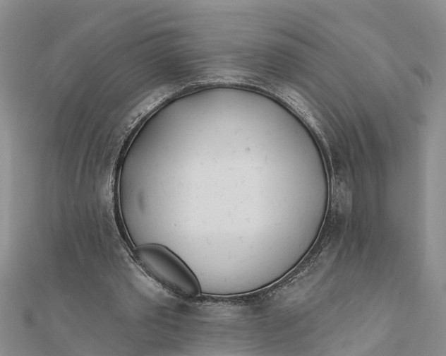 X0000112180389200908281406