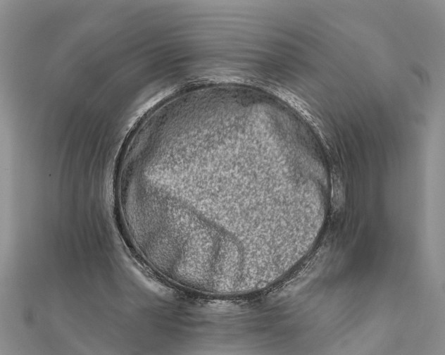 X0000112180390200908281406