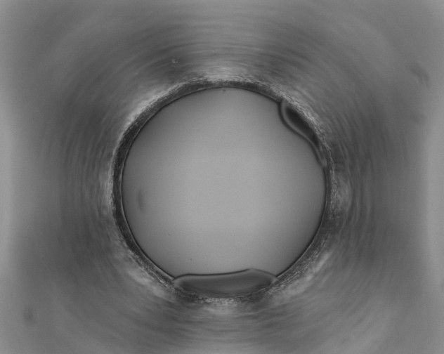 X0000112180391200908281406