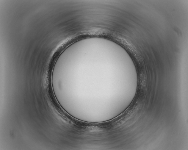 X0000112180392200908281406