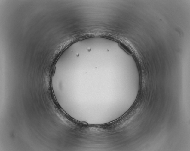 X0000112180393200908281406