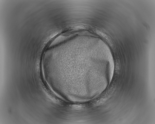 X0000112180394200908281406