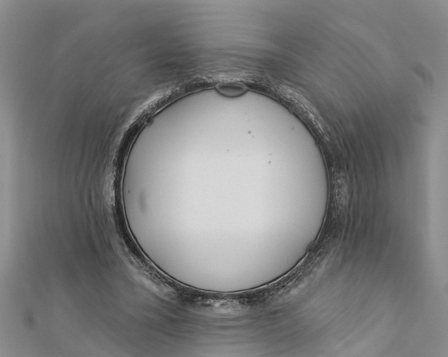 X0000112180395200908281406