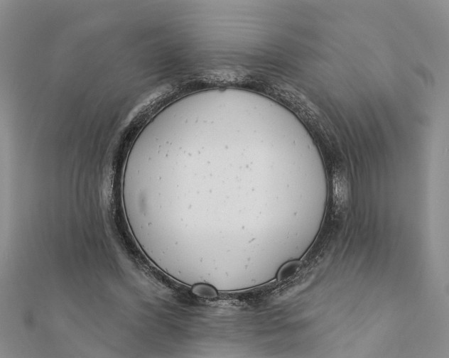 X0000112180396200908281406