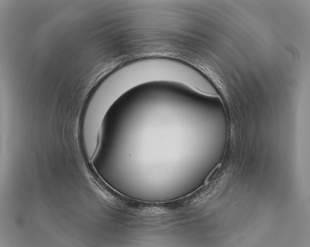 X0000112180397200908281406