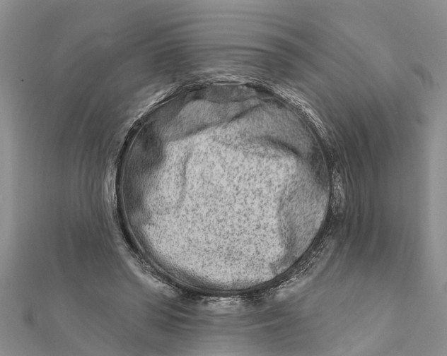 X0000112180398200908281406