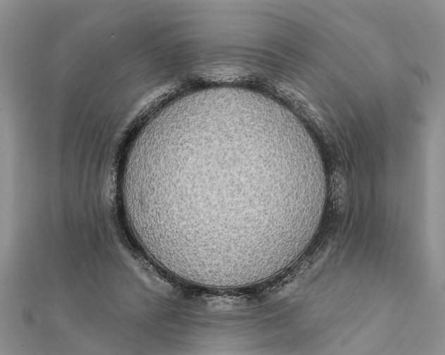 X0000112180400200908281406