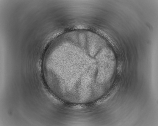 X0000112180402200908281406