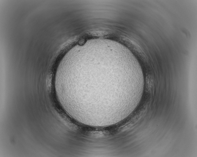 X0000112180404200908281406