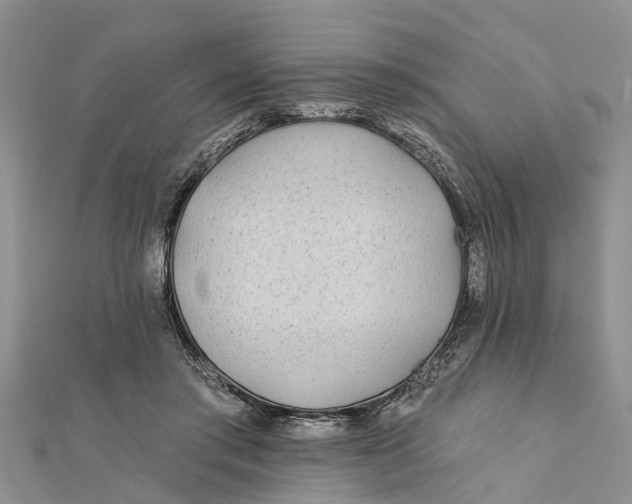 X0000112180405200908281406