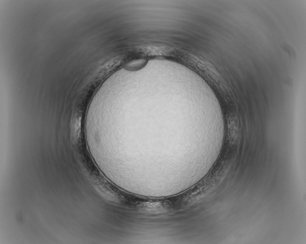 X0000112180406200908281406