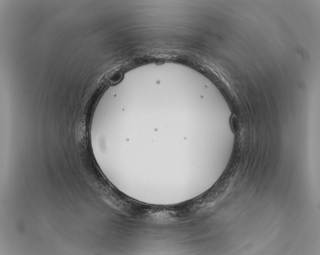 X0000112180407200908281406