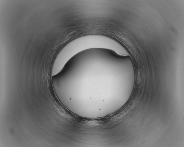 X0000112180409200908281406