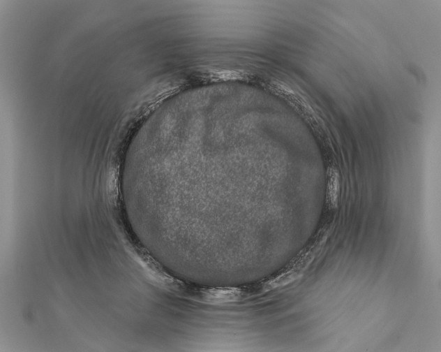 X0000112180410200908281406