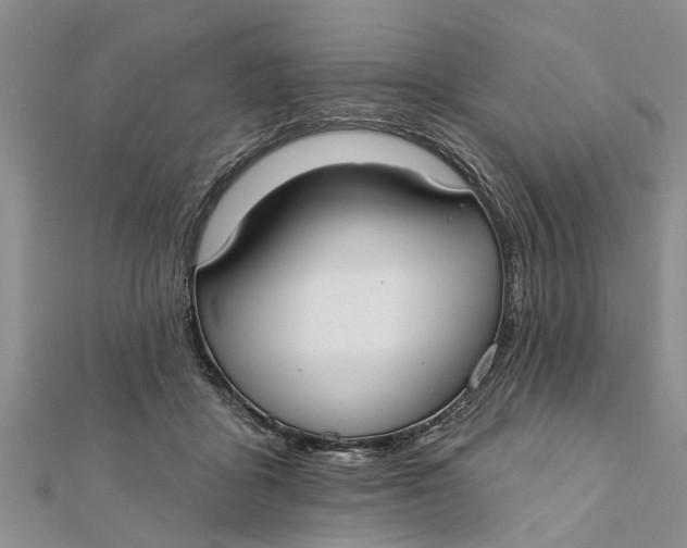 X0000112180411200908281406