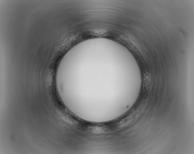 X0000112180412200908281406