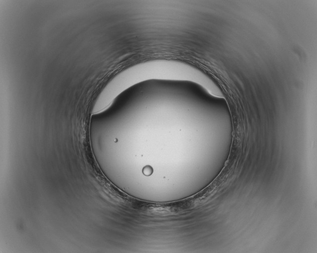 X0000112180413200908281406