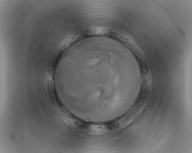 X0000112180415200908281406