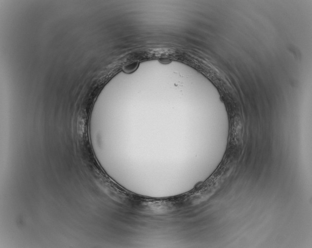 X0000112180417200908281406