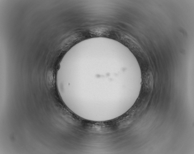 X0000112180420200908281406