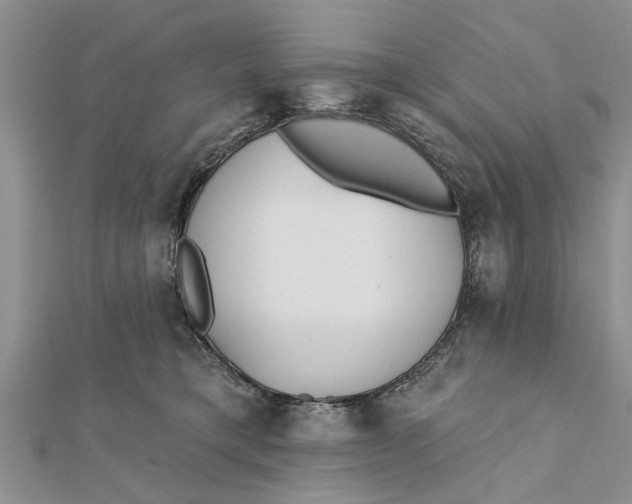 X0000112180421200908281406