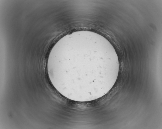 X0000112180423200908281406