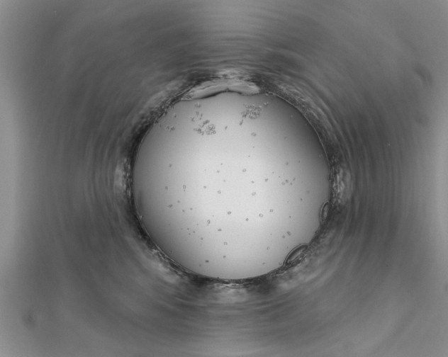 X0000112180424200908281406