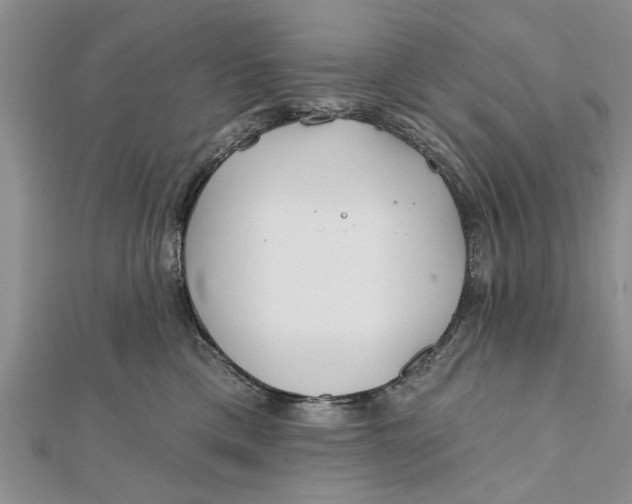 X0000112180425200908281406