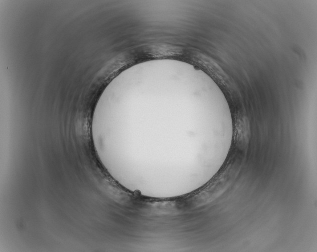 X0000112180426200908281406