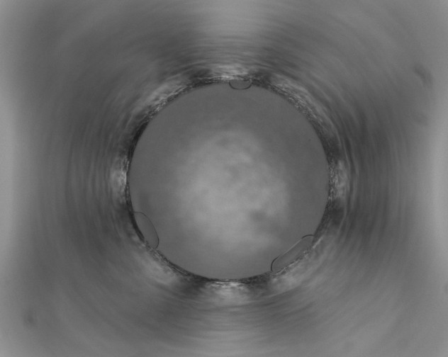 X0000112180427200908281406