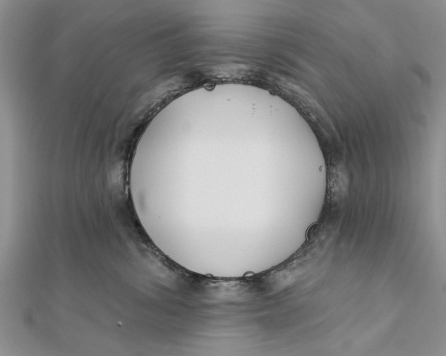 X0000112180428200908281406