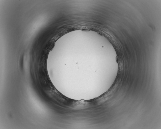 X0000112180429200908281406