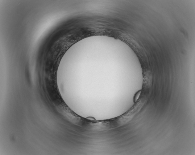 X0000112180430200908281406