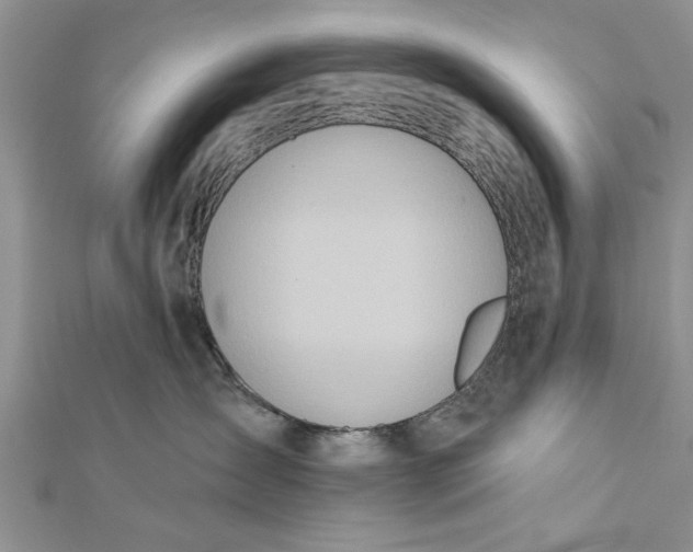 X0000112180431200908281406