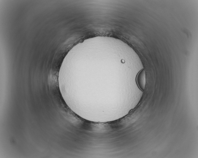 X0000112180432200908281406