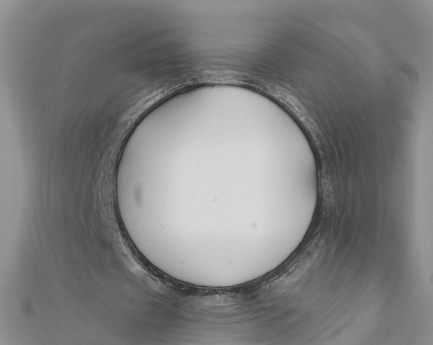 X0000112180433200908281405