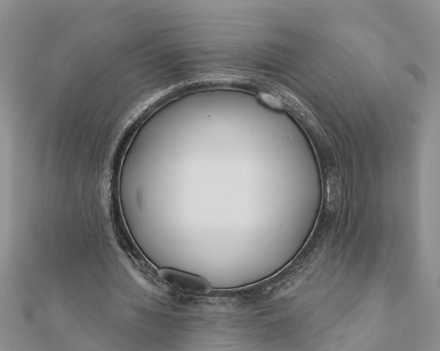 X0000112180436200908281405