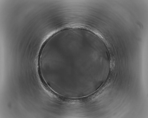 X0000112180438200908281405